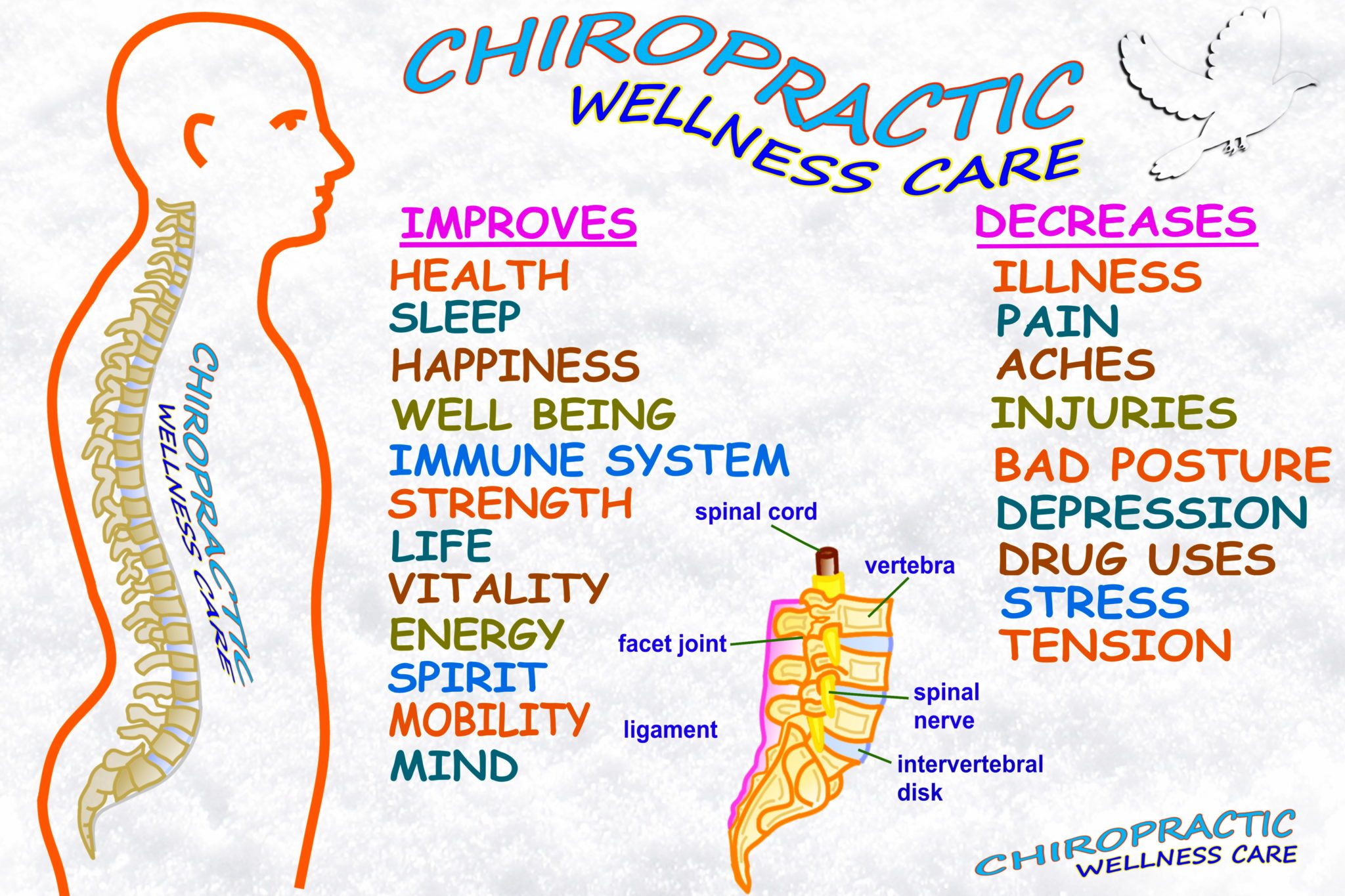 Life Care Chiropractic & Wellness Center - The best sleeping