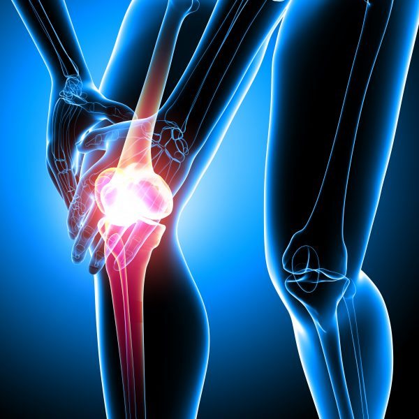 Human knee pain anatomy on blue
