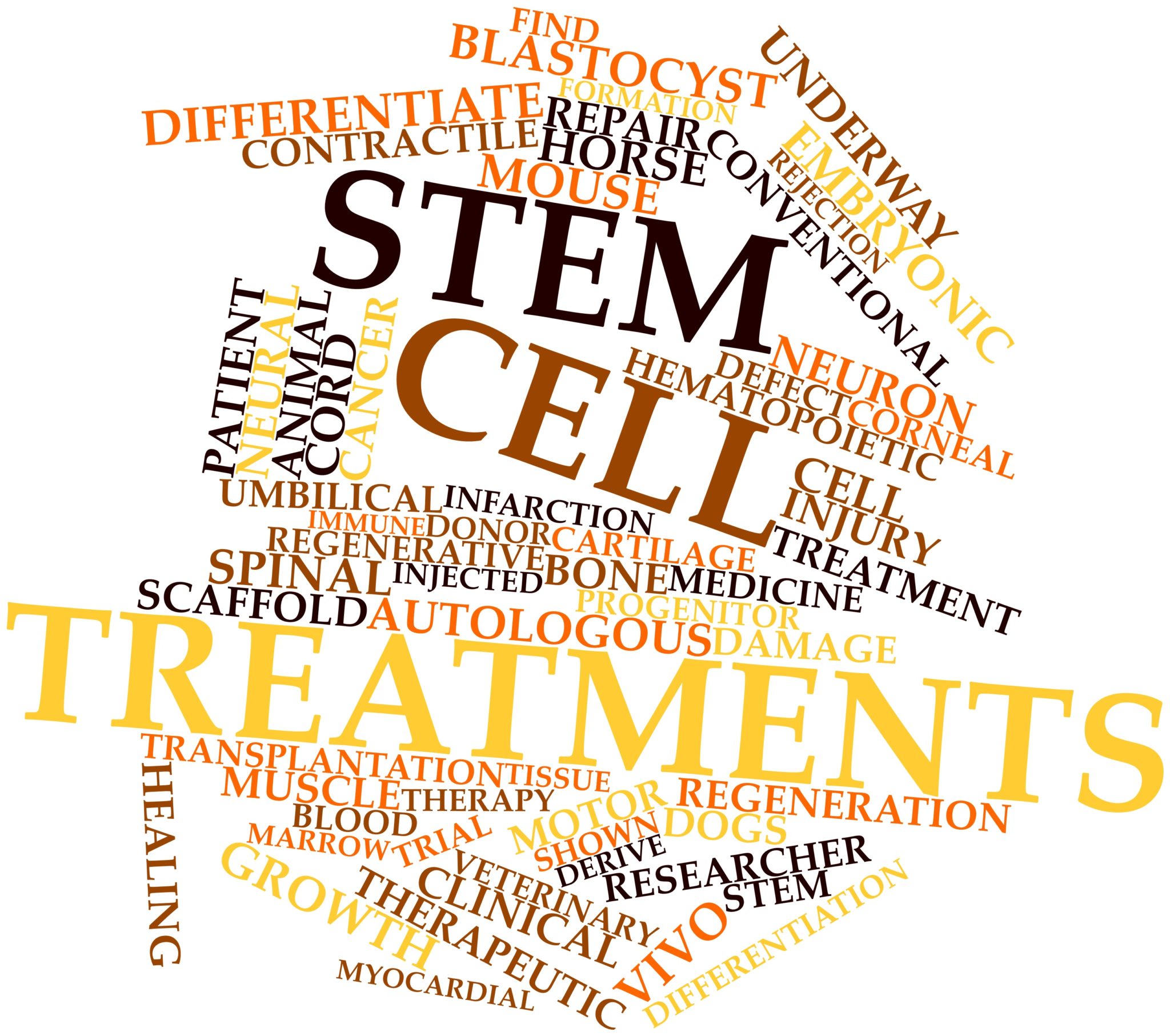 Stem Cellstem cell treatments