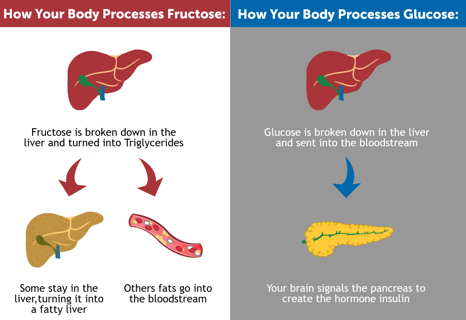 body down sugar breaks how Arrowhead Body? Centers Sugar Health  to Does Do What the