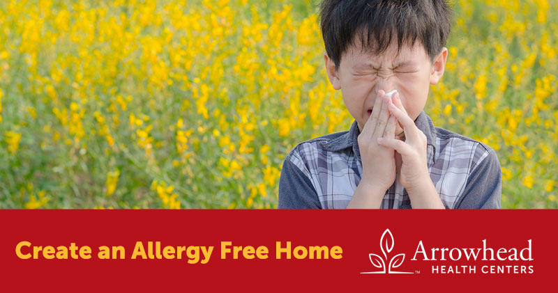 Allergy free home