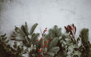 pine branches and leaves arranged in a holiday display
