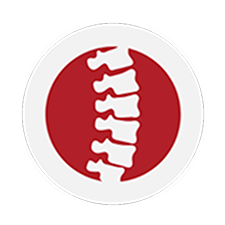 icon of spine