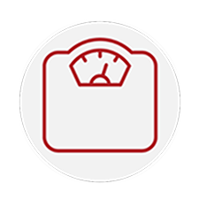 icon of scale