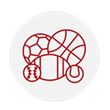 icon of sports balls